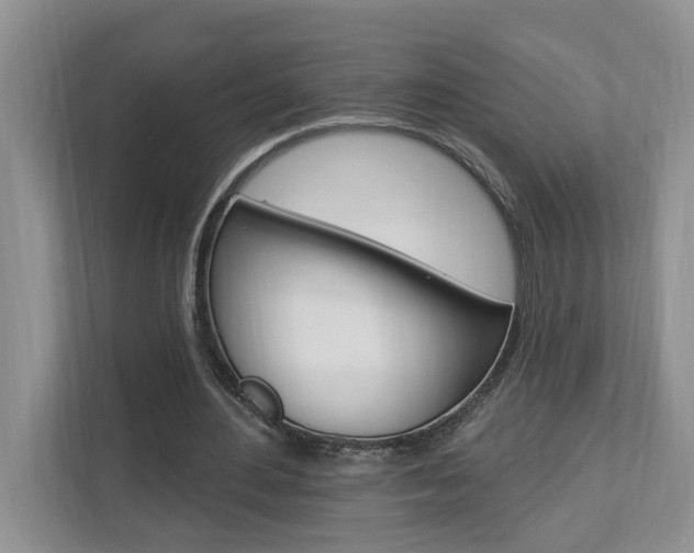X0000112890484200908211033