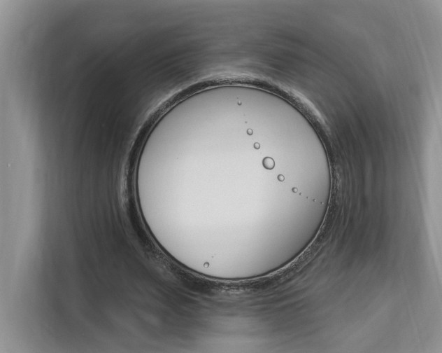 X0000112890487200908211033