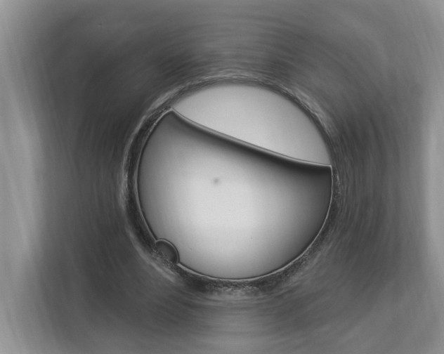 X0000112890488200908211033