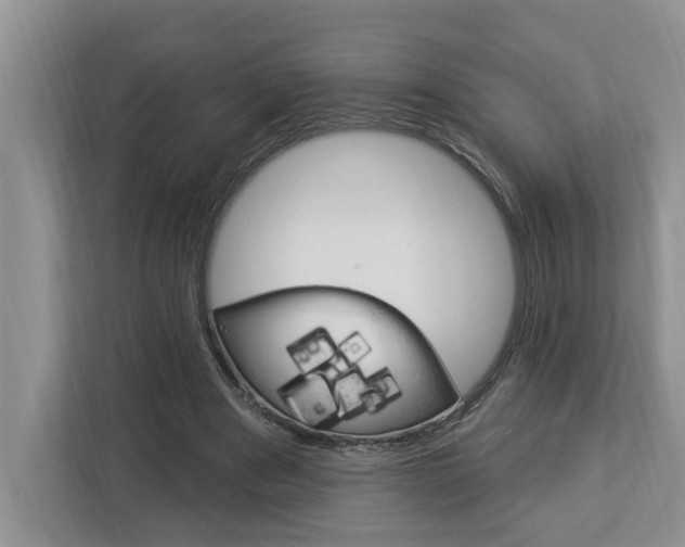 X0000112890489200908211033