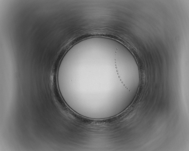 X0000112890491200908211033