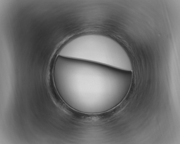 X0000112890492200908211033