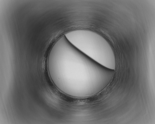 X0000112890495200908211033