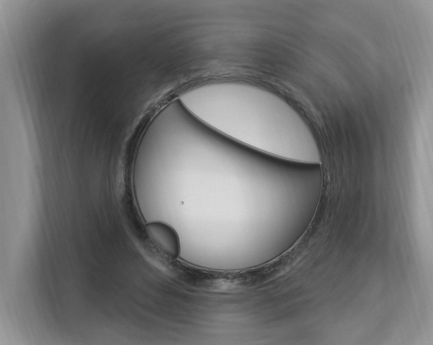 X0000112890496200908211033
