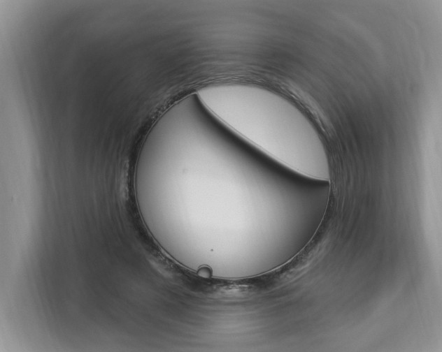 X0000112890497200908211033