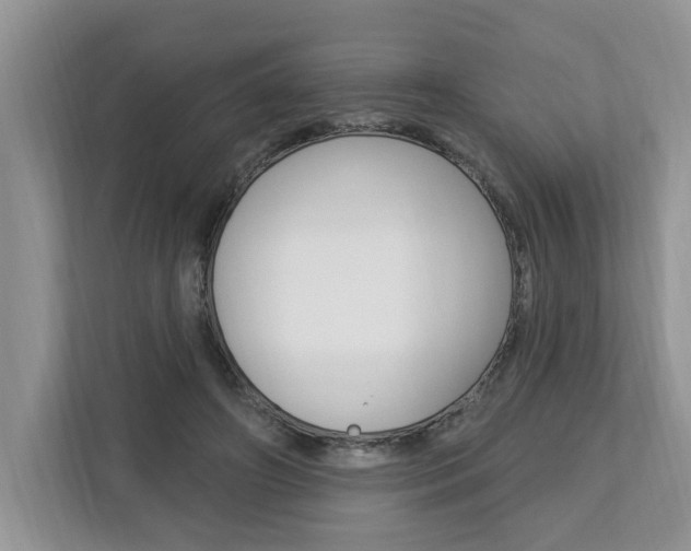 X0000112890498200908211033