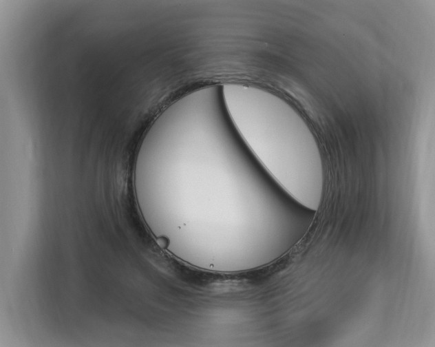 X0000112890499200908211033
