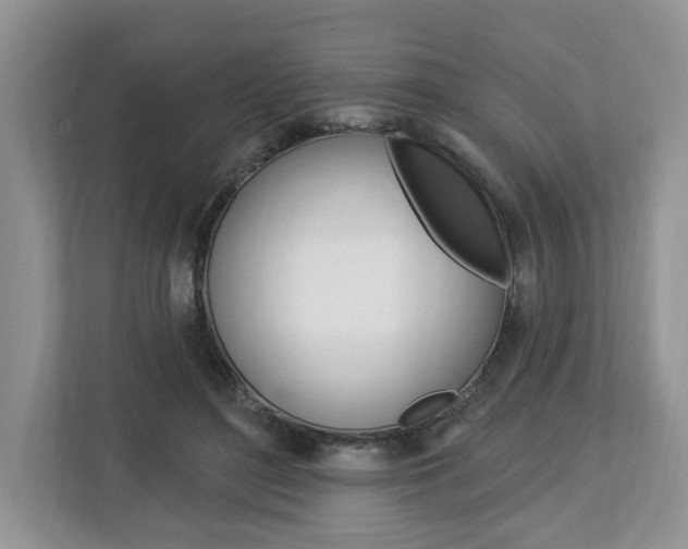 X0000112890500200908211033
