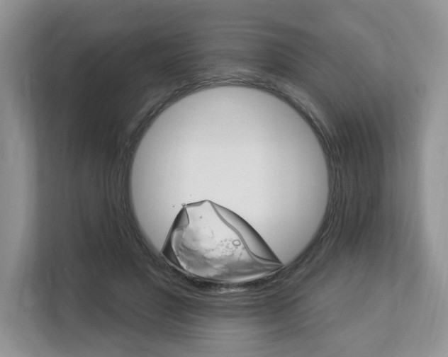 X0000112890501200908211033