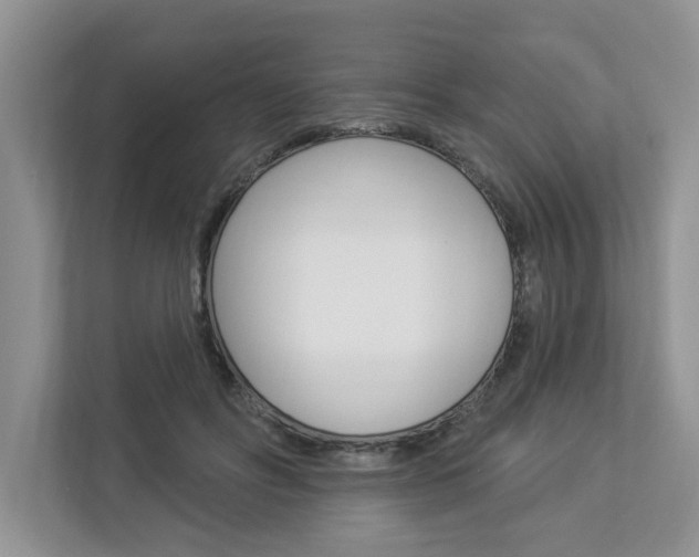 X0000112890502200908211033