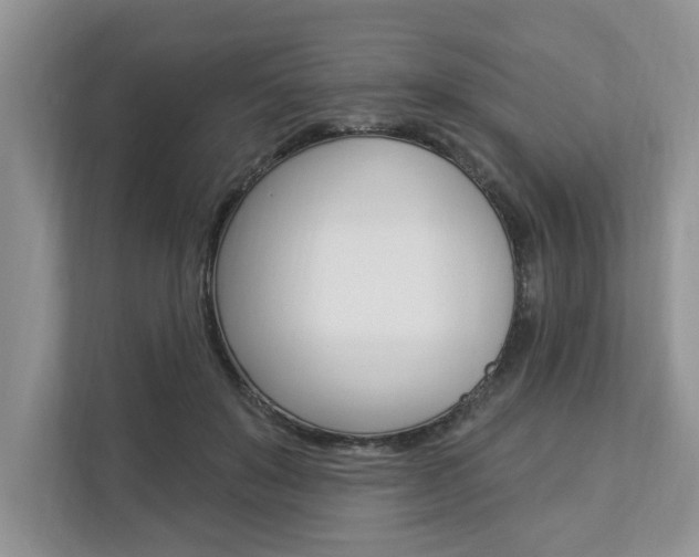 X0000112890503200908211033