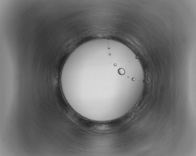 X0000112890507200908211033