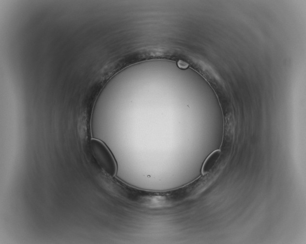 X0000112890509200908211033