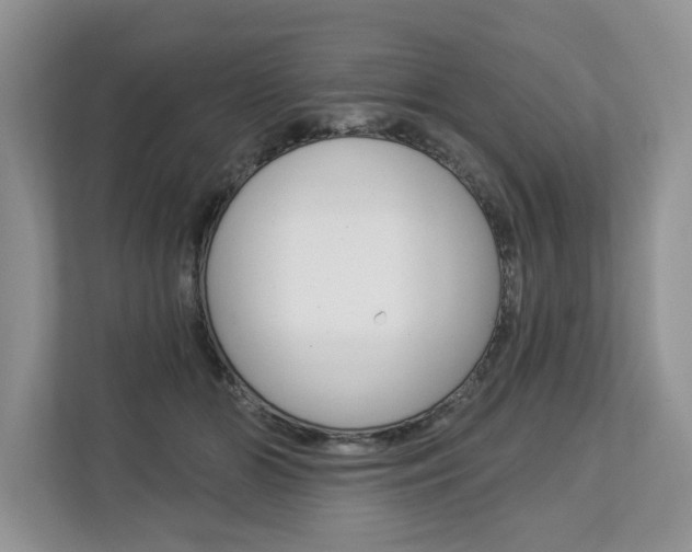 X0000112890510200908211033