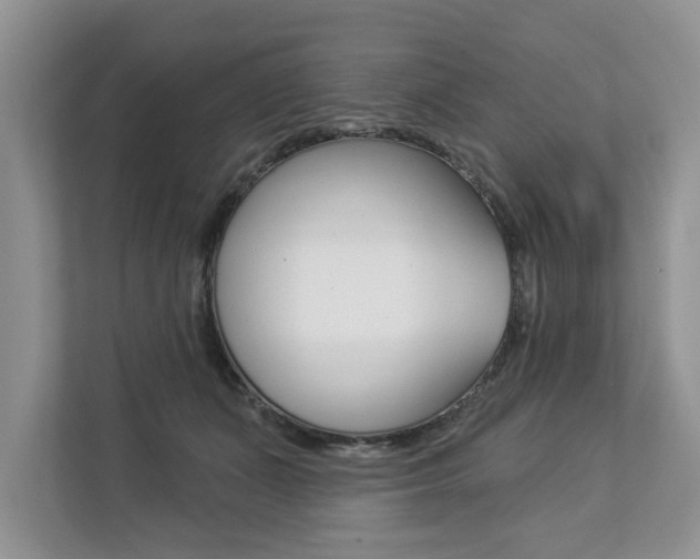 X0000112890511200908211033
