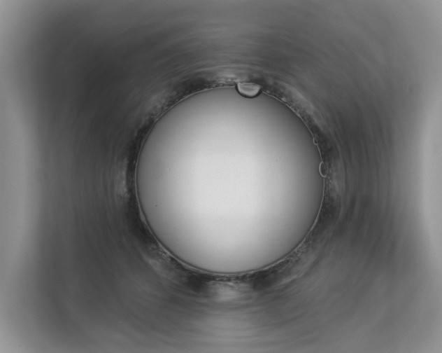 X0000112890512200908211033