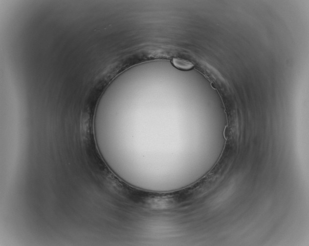 X0000112890513200908211033