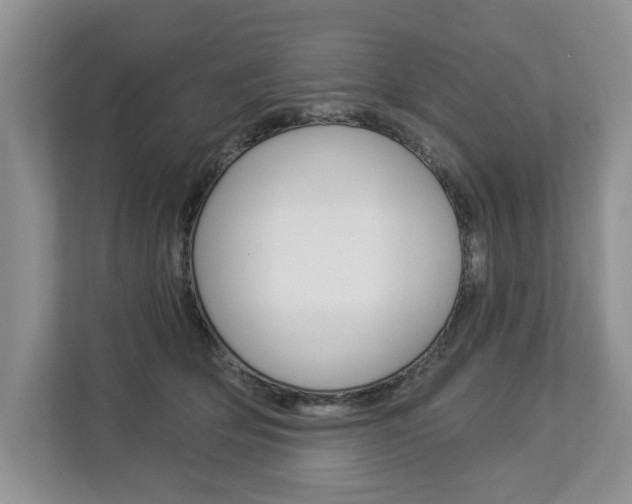 X0000112890514200908211033