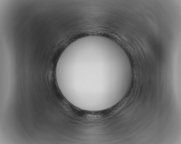 X0000112890515200908211033
