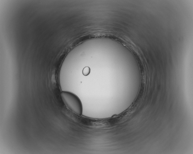 X0000112890516200908211033