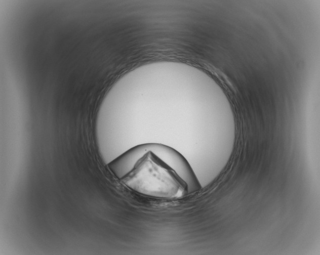 X0000112890517200908211033