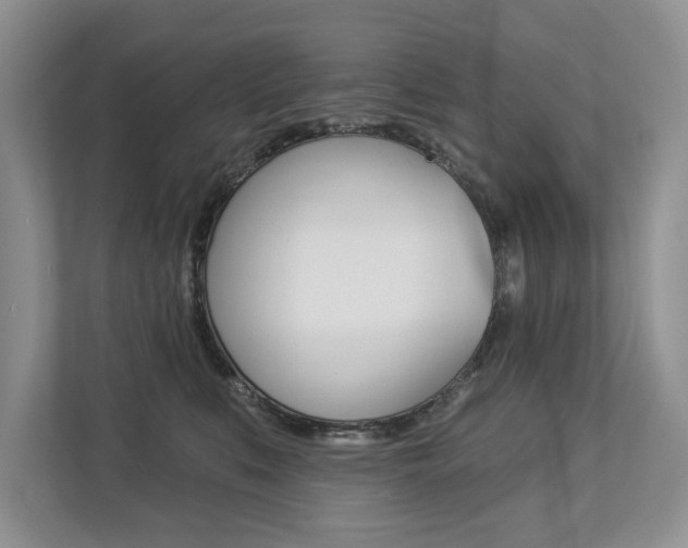 X0000112890519200908211033