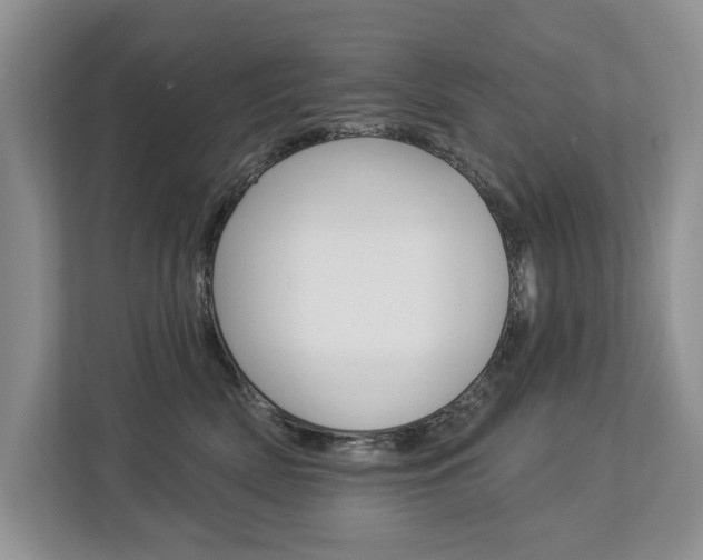 X0000112890522200908211033