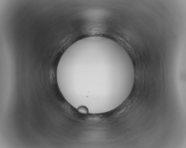 X0000112890523200908211033