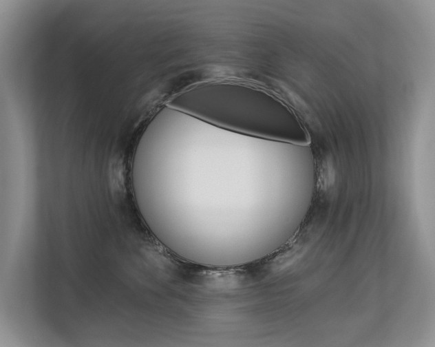 X0000112890524200908211033