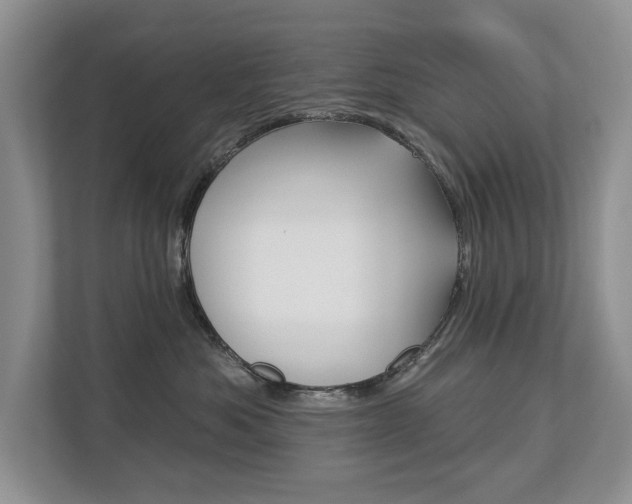 X0000112890525200908211033