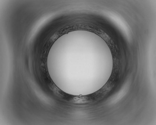 X0000112890526200908211033