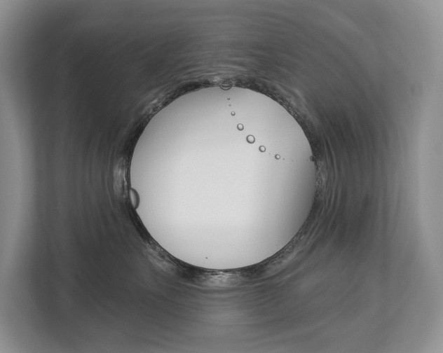 X0000112890527200908211033