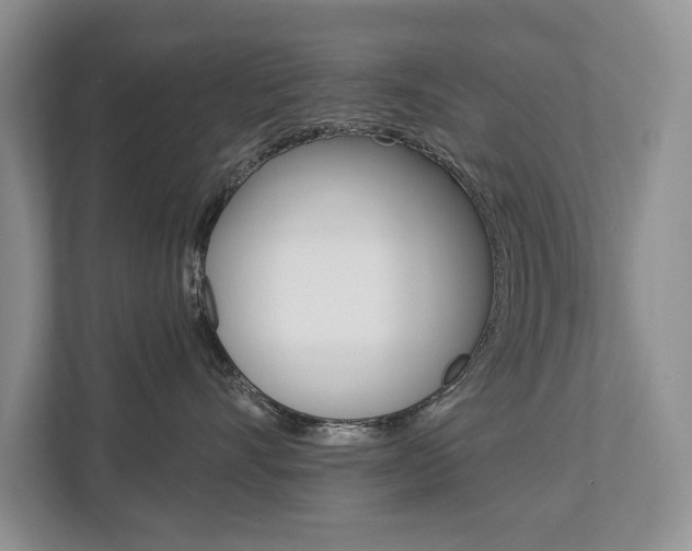 X0000112890528200908211033