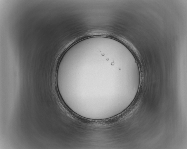 X0000112890529200908211032