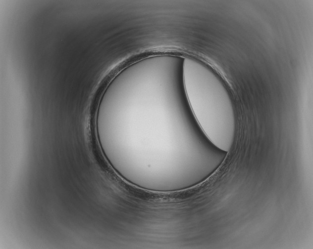 X0000112890535200908211032