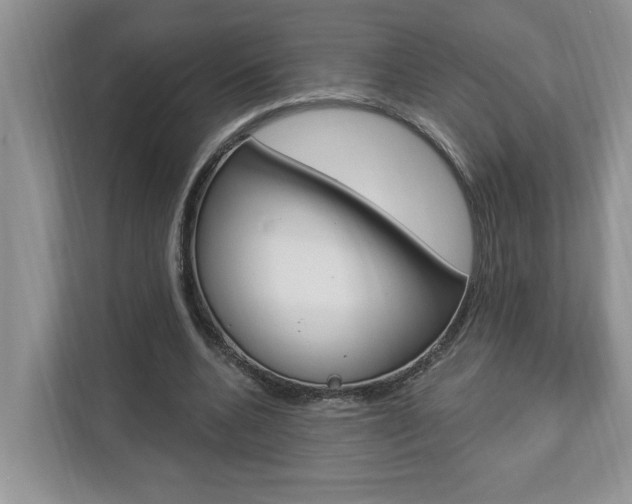 X0000112890536200908211032
