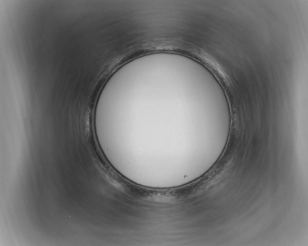 X0000112890537200908211032