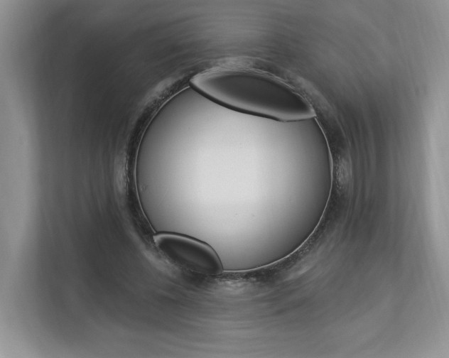 X0000112890540200908211032