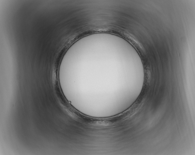 X0000112890541200908211032
