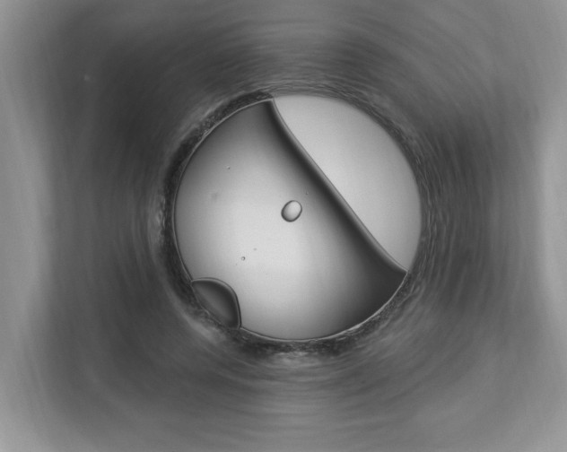 X0000112890544200908211032