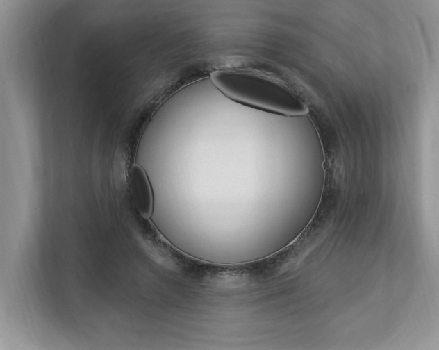 X0000112890546200908211032