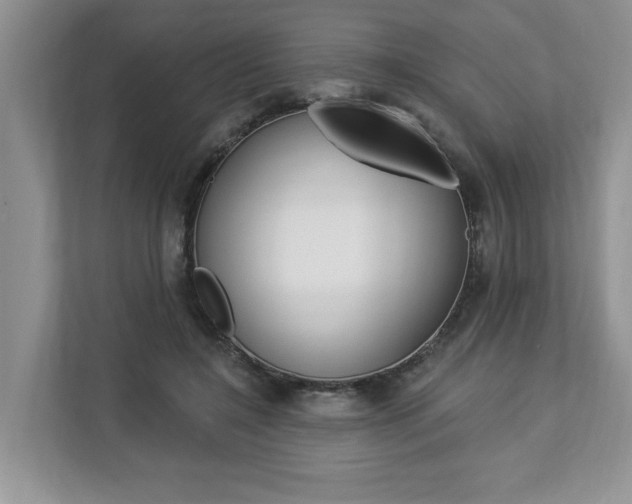 X0000112890548200908211032