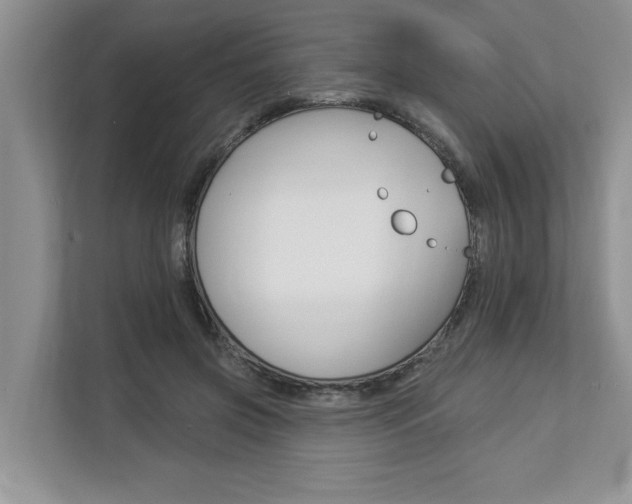 X0000112890549200908211032