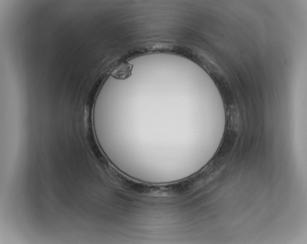 X0000112890550200908211032