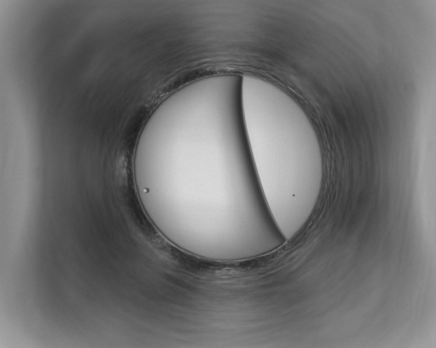 X0000112890551200908211032