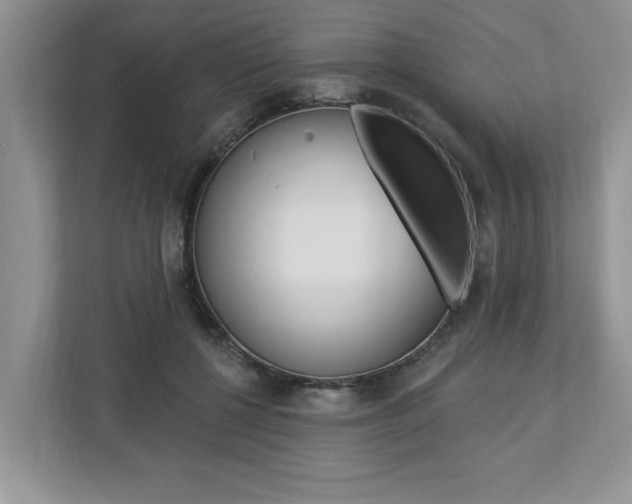 X0000112890552200908211032