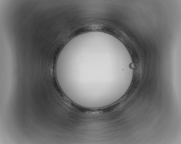 X0000112890553200908211032