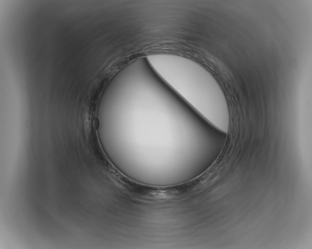 X0000112890558200908211032