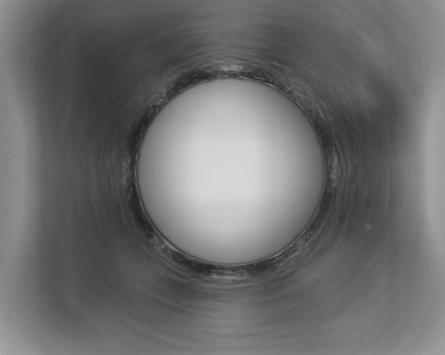 X0000112890559200908211032