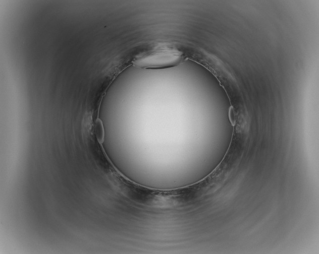 X0000112890560200908211032